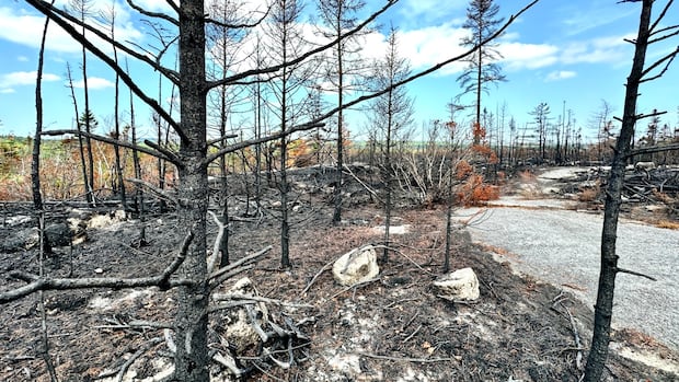 N.S. has handed out over $1M in fire ban tickets. How much has actually been collected?